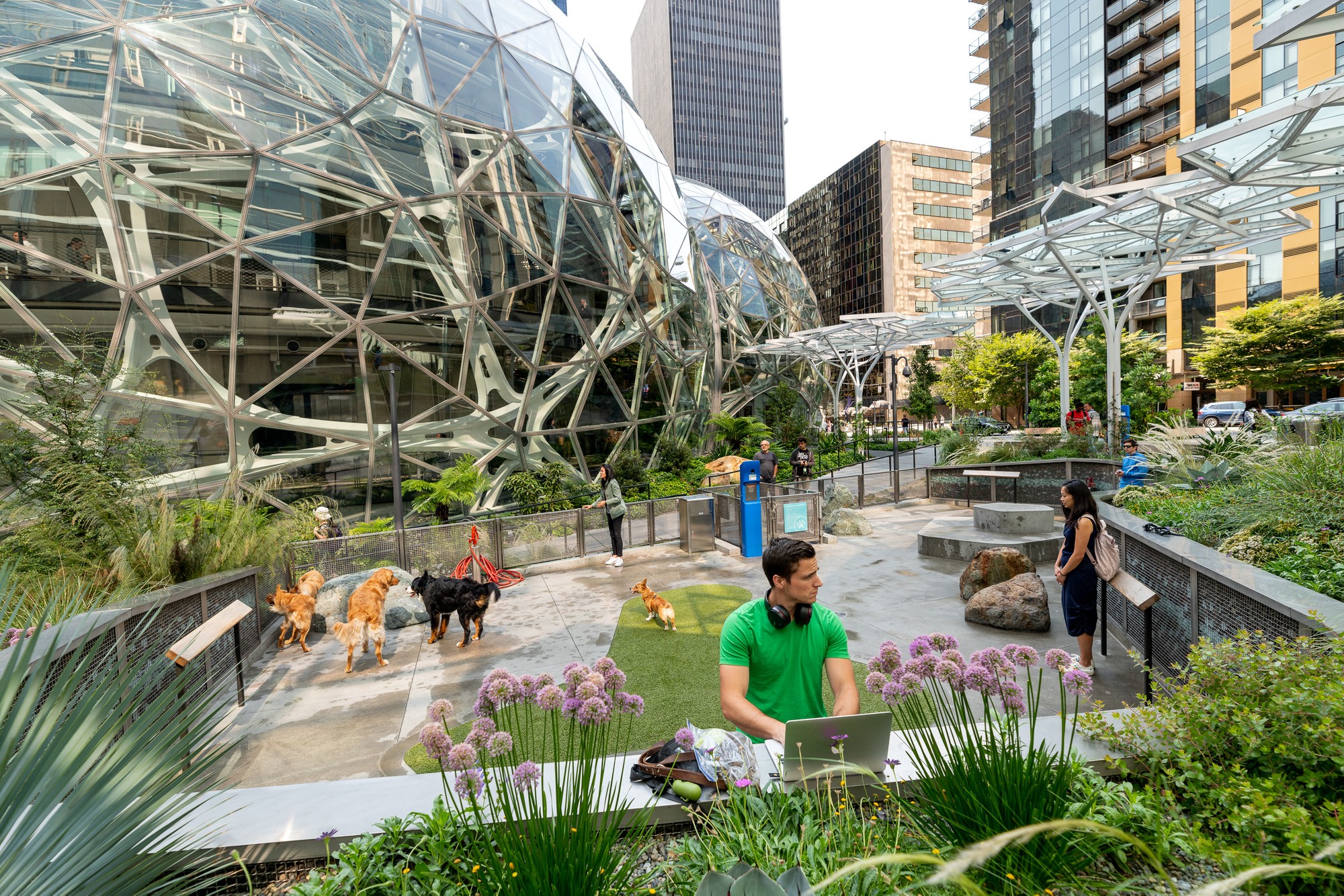 Amazon Spheres Seattle