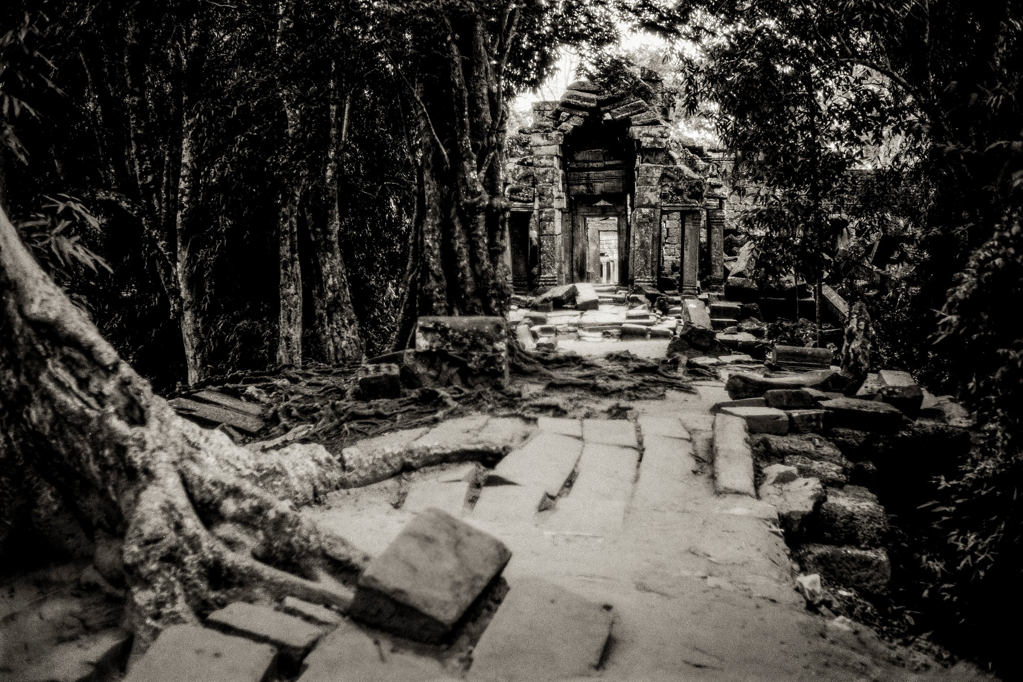 ANGKOR.F1.4_0427-Edit.jpg
