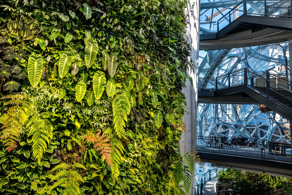 Amazon Spheres, Seattle