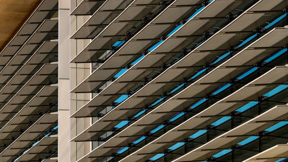 SANDIEGO.site4_0006.jpg