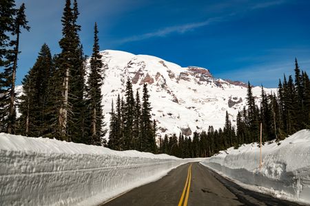 Mt.Rainier.reopening_008 copy.jpg