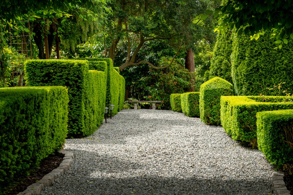 garden.front_528.jpg
