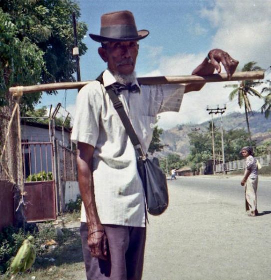 1timorlestebananamanweb