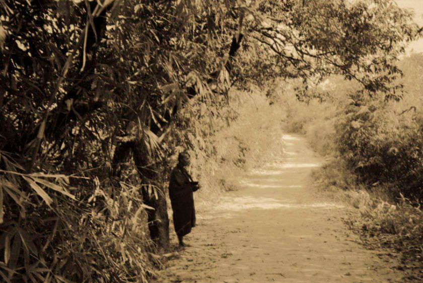 1Sepia_monk_burmaweb