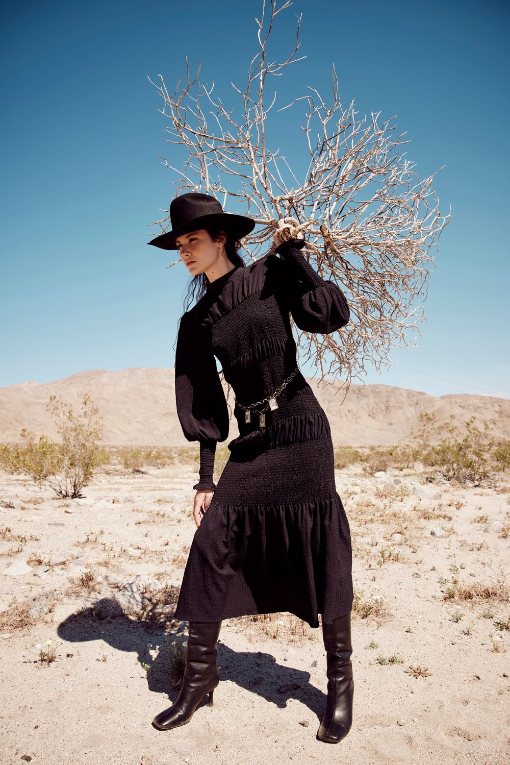 Wild_Desert_887 2.jpg