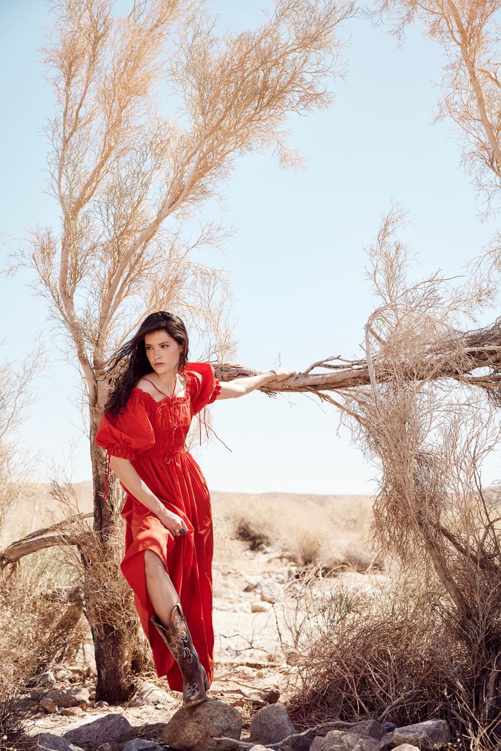 Wild_Desert_811.jpg