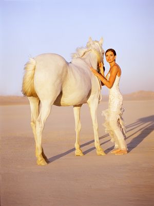 Wedding, Desert, Horse, Bride, Wedding Photographer Bride and Horse - Wedding Photographer In NYC