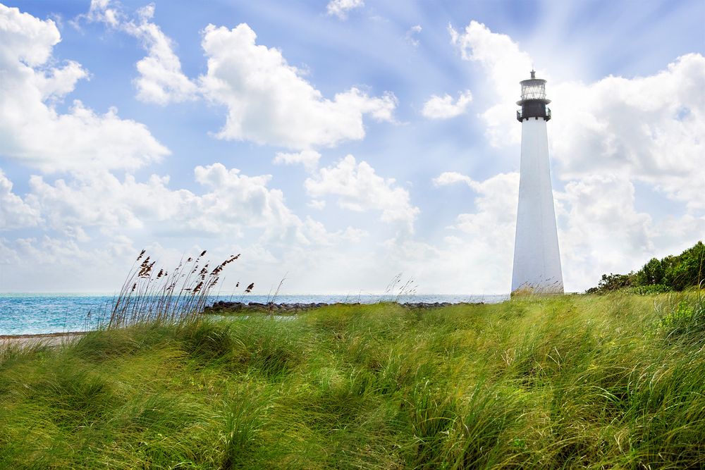 Lighthouse, Beach, Ocean, Sun, Grass, Landscape, South Carolina Lighthouse in South Carolina