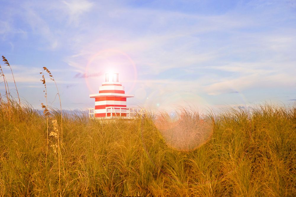 Lighthouse, Beach, Ocean, Sun, Grass, Landscape, South Carolina Lighthouse in Grass