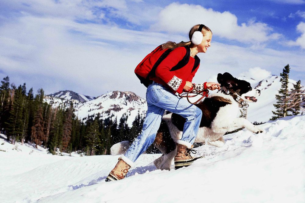 American Girl, Girl with Dog, Saint Bernard, Snow, Winter American Girl Girl with Saint Bernard Dog