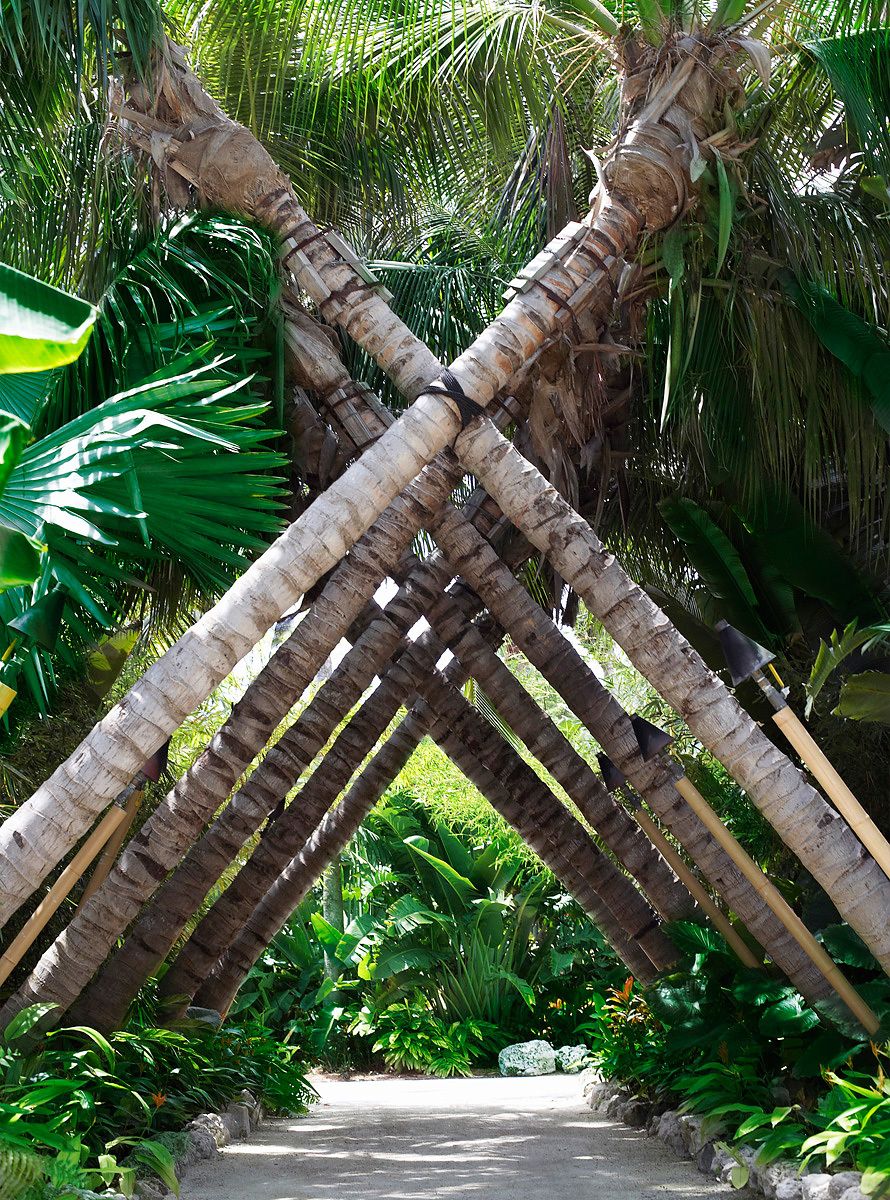 Palm Trees, Nature, Landscape, Florida, Florida Keys, Islamorada, Greenery Crossed Palm Trees Islamorada