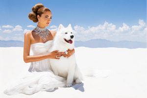 White Sands, Model, Girl, Dogs, Desert, White Dress, Wedding, Bride, Wedding Photographer White Sands Bride - Event Photographer Los Angeles