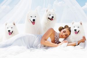 White Sands, Model, Girl, Dogs, Desert, White Dress, Wedding, Wedding Photographer Bridal Girl with Dogs - Event Photographer Los Angeles