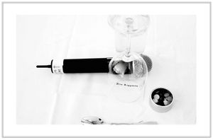 Palm Springs, Parker Hotel, Wedding, Black and White, Wine, Wine Glass, Wedding Photographer Palm Springs Wedding - Bar Mitzvah Photographer Los Angeles