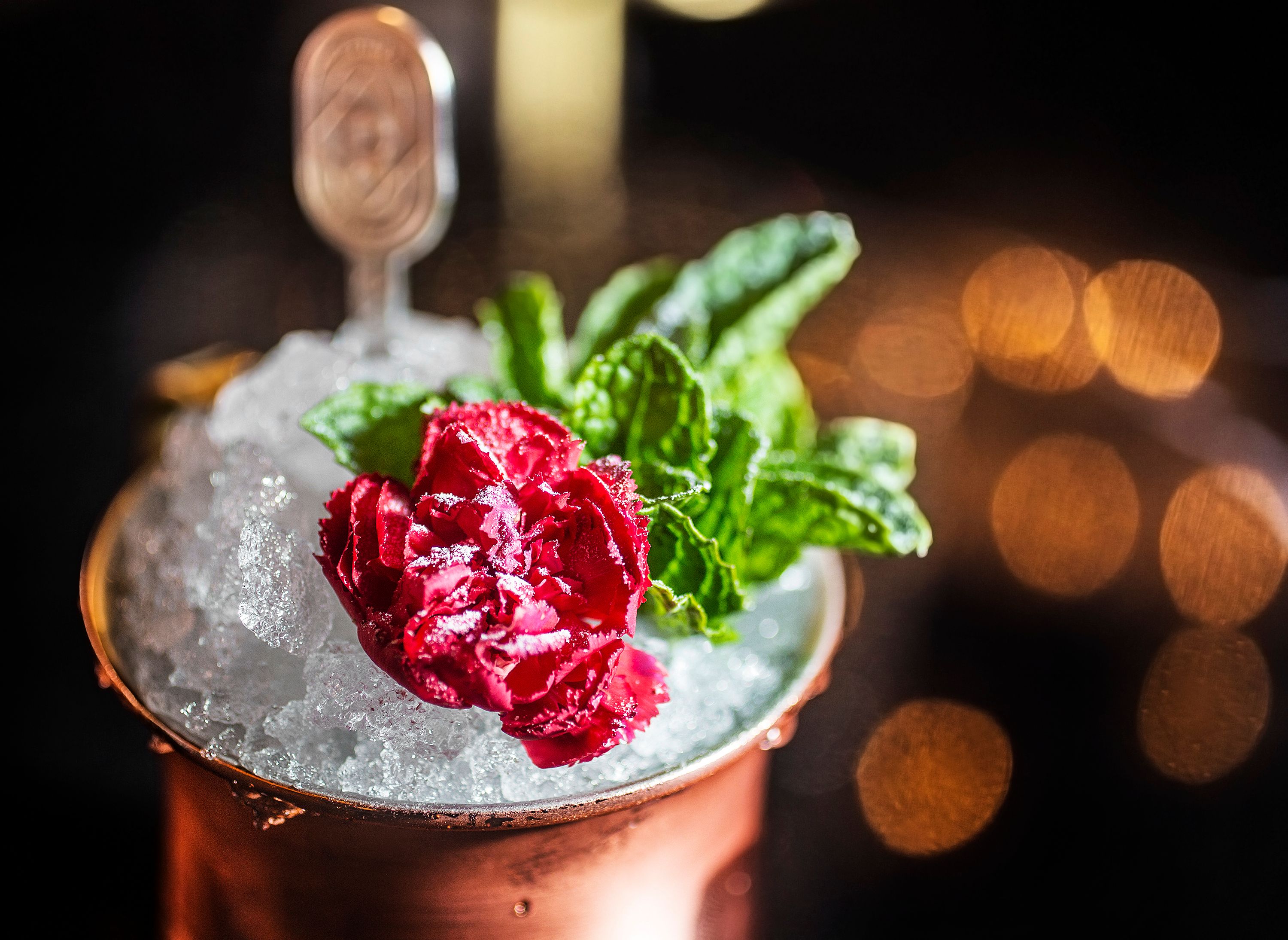 CHEERS JAN09-18-bh 001.JPG