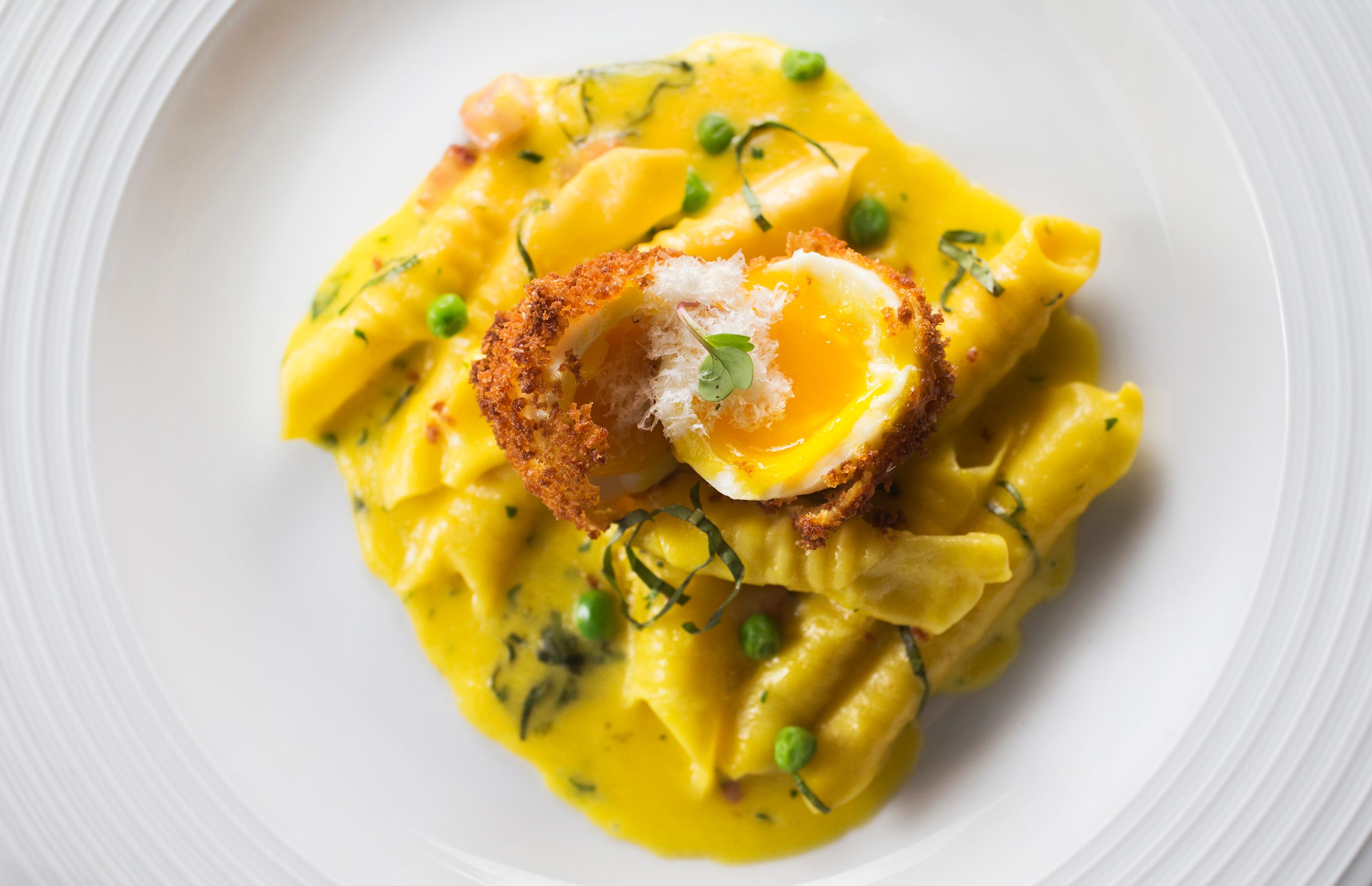 EGGS-052517- bh 007.JPG