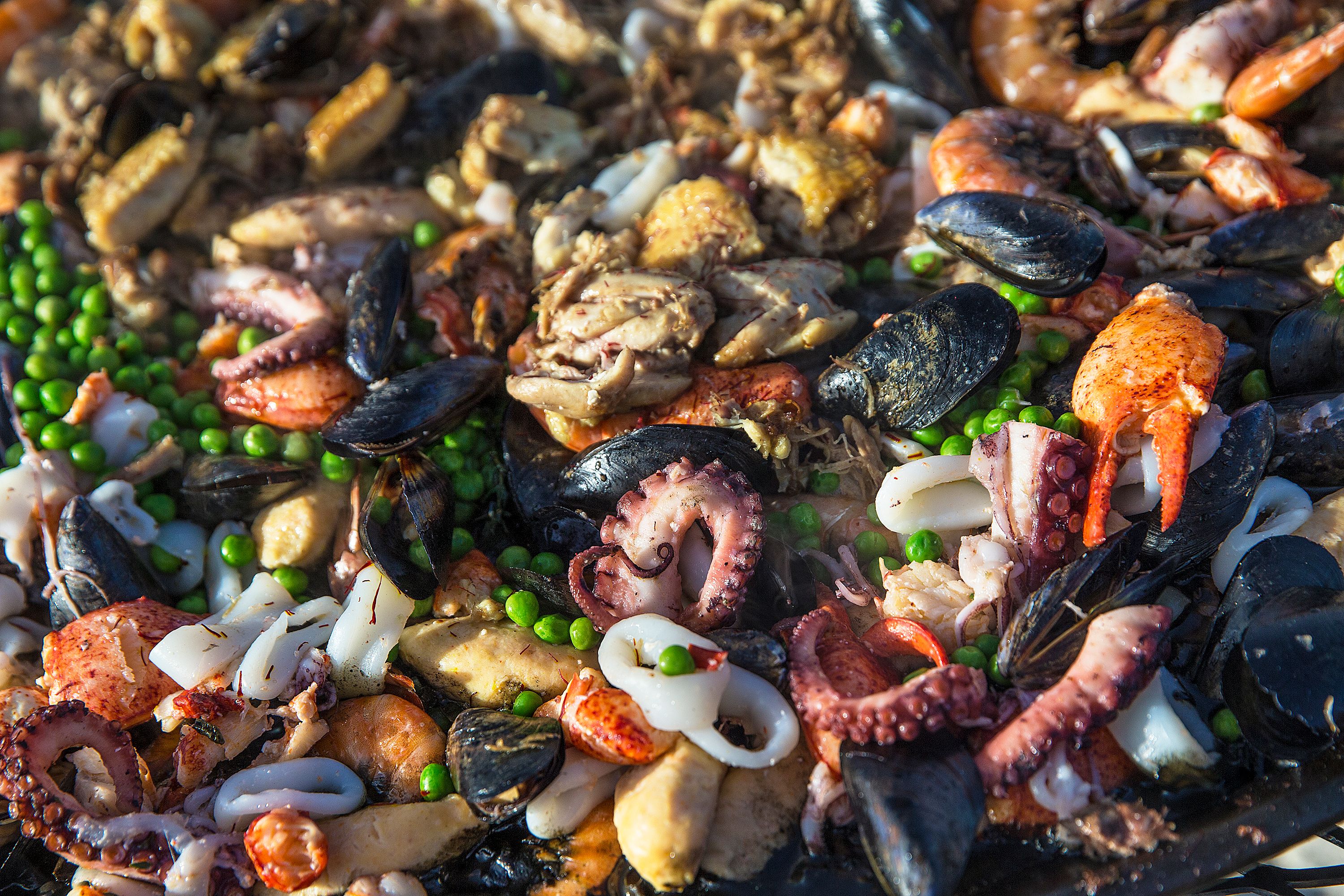 WHISKEY WILDERNESS-JAN17-18-bh 014.JPG