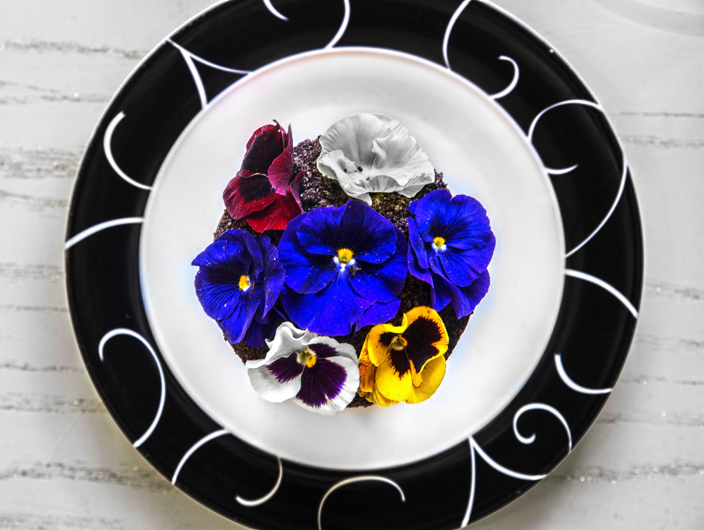 EDIBLE LANDSCAPES-041317 bh 005.JPG