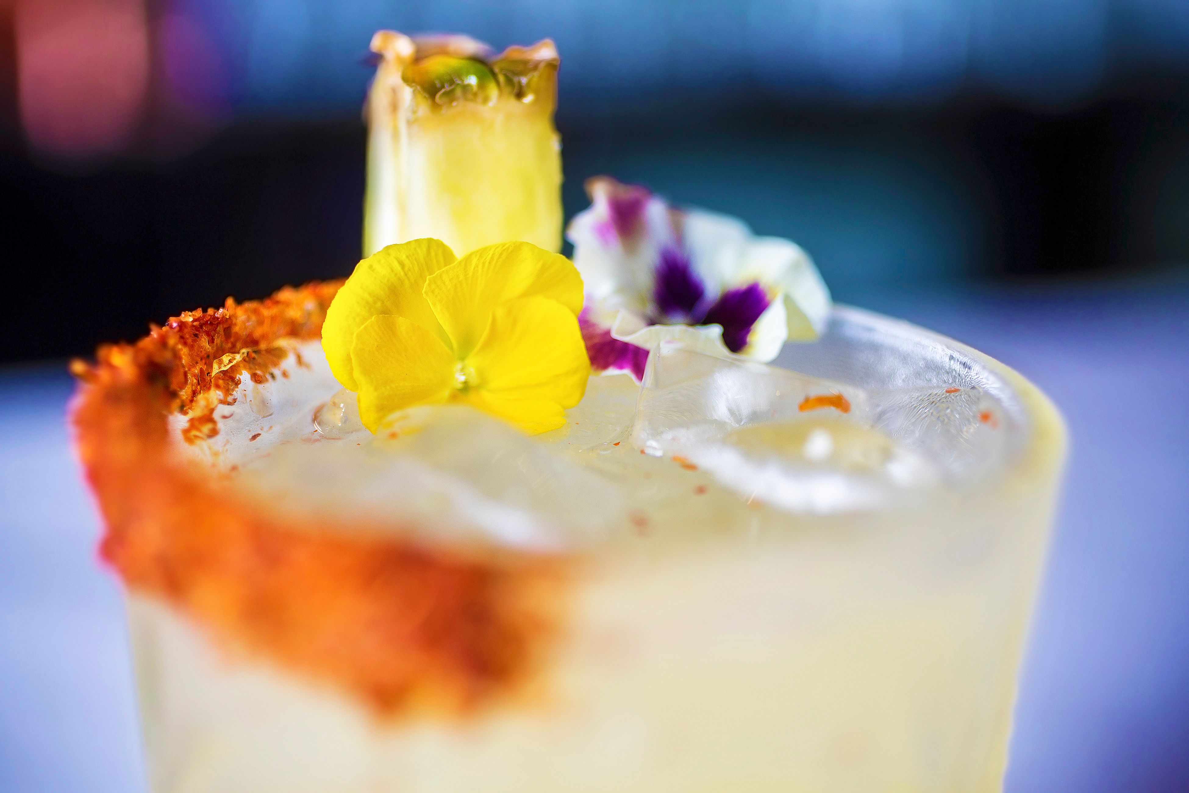 GARDEN LGBTQ BAR-bh 006.JPG