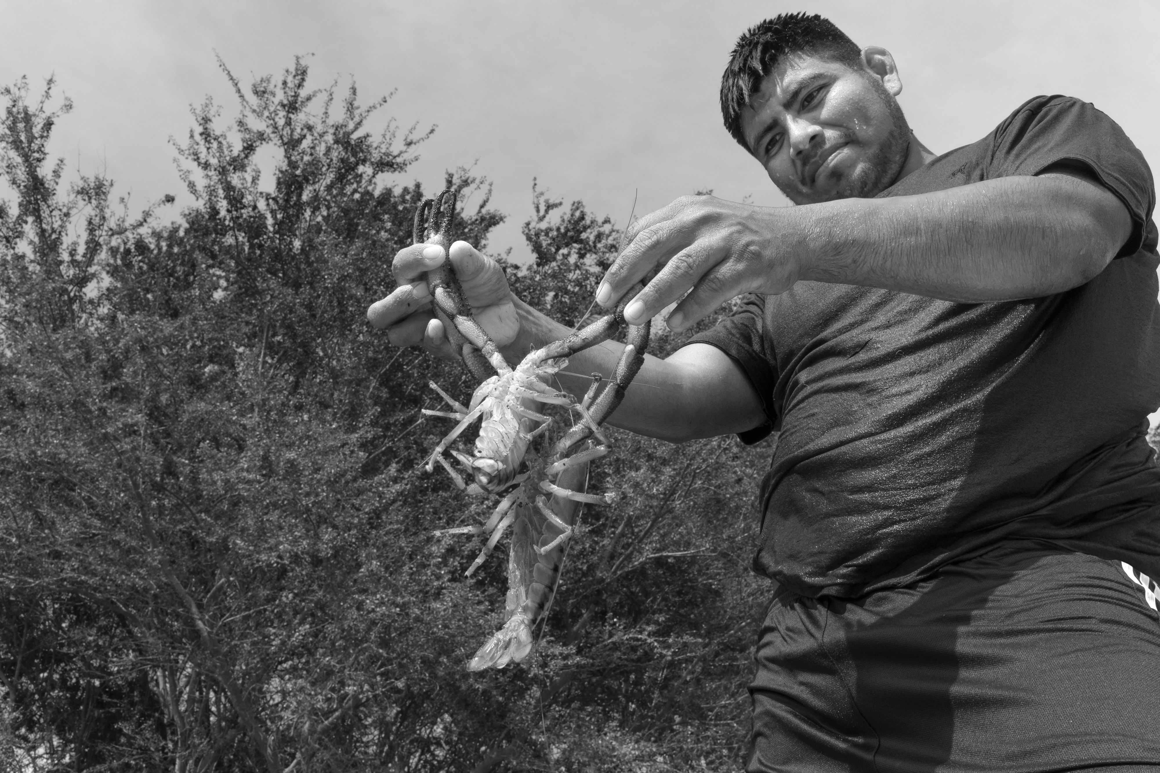 19084_A LA SOMBRA DEL ARBOL_JUL 2021.jpg