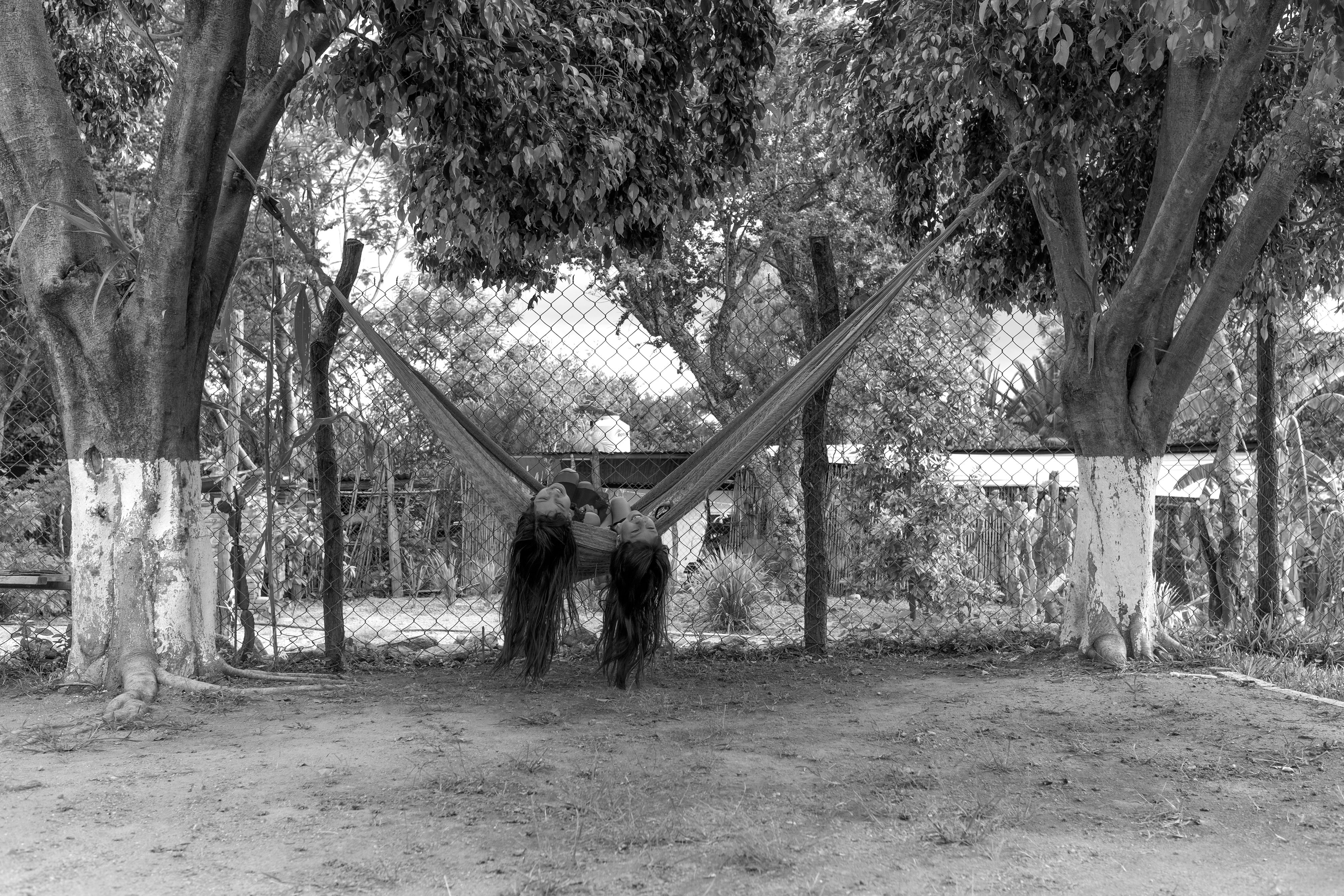 545_A LA SOMBRA ARBOL_AGO2020.jpg