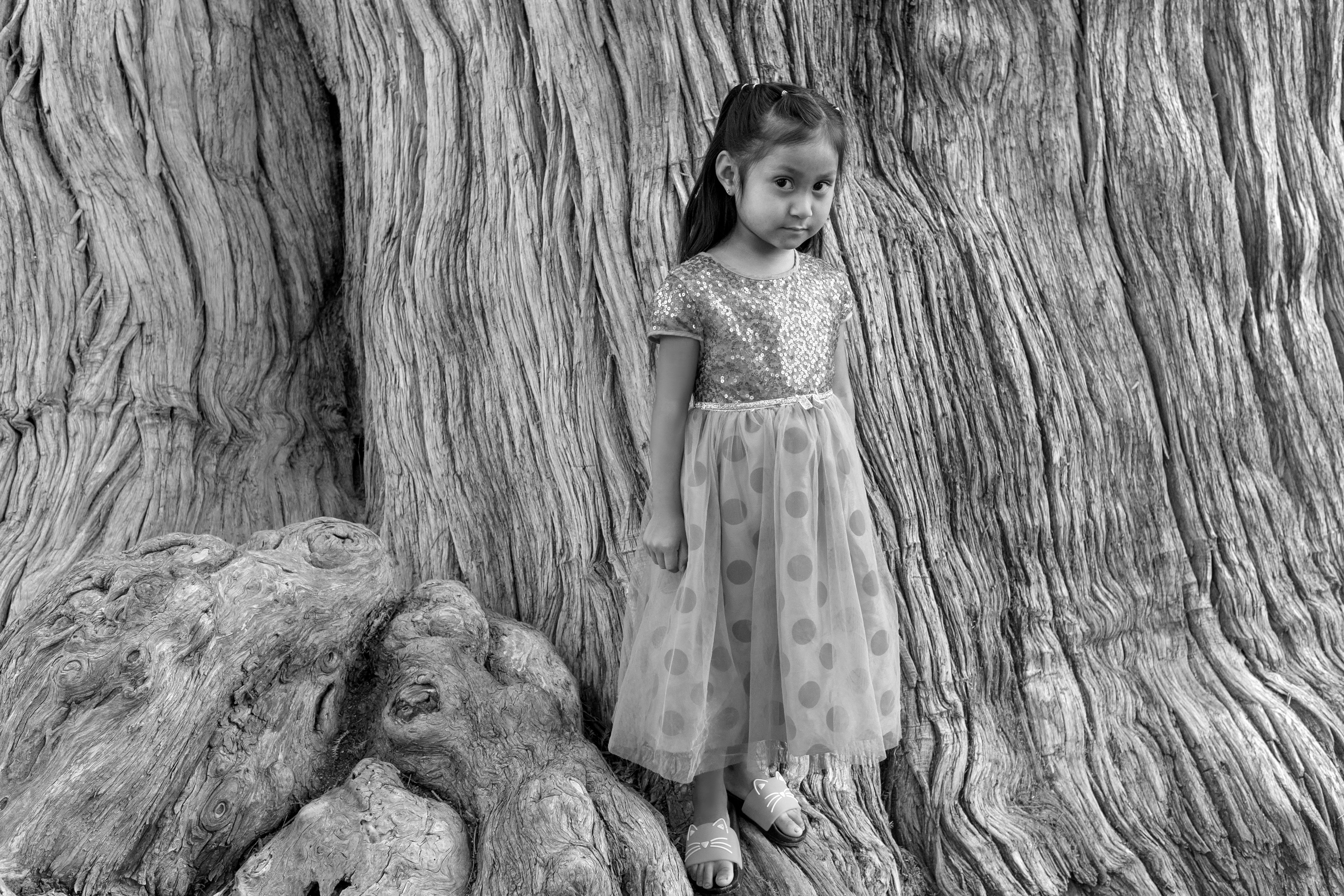 16984_A LA SOMBRA DEL ARBOL_JUN 2021.jpg