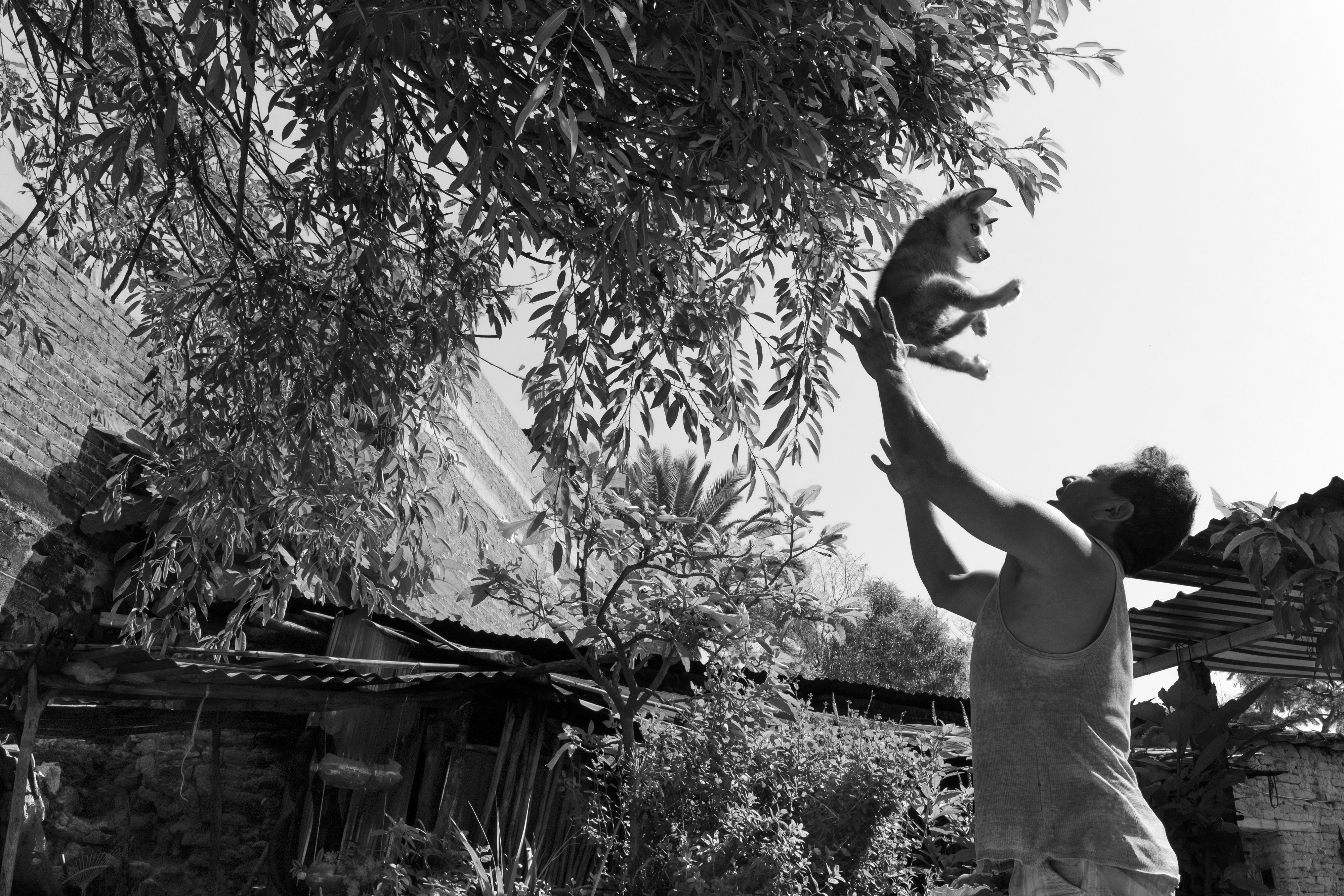 17559_A LA SOMBRA DEL ARBOL_JUL 2021.jpg