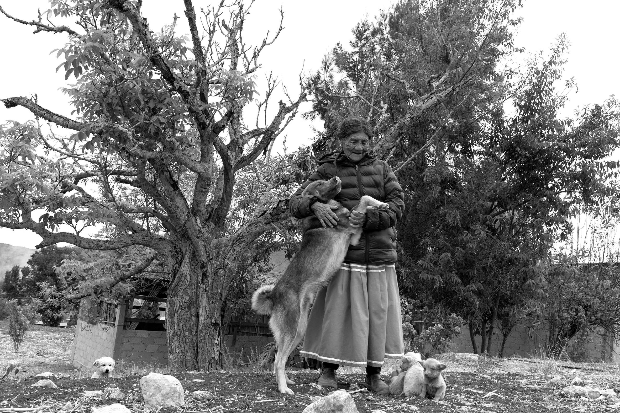 011-16458_A LA SOMBRA DEL ARBOL_ABR 2021.jpg