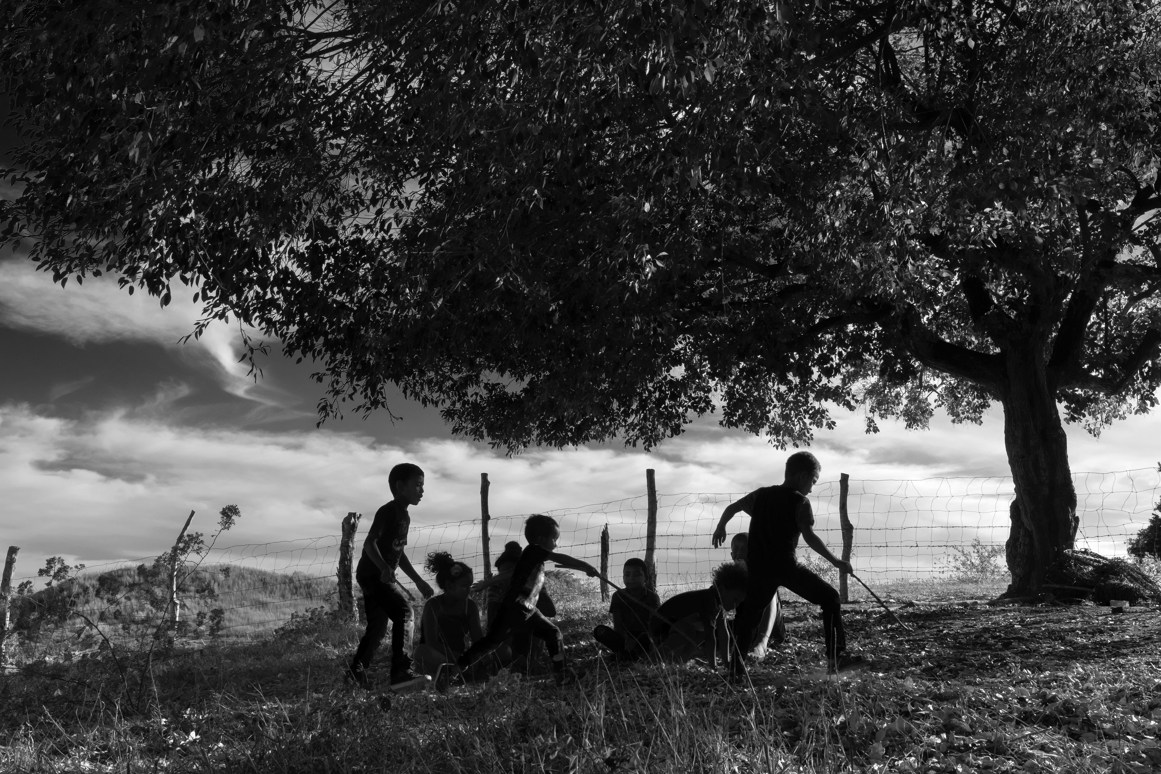 13216_A LA SOMBRA ARBOL_ENE2021.jpg