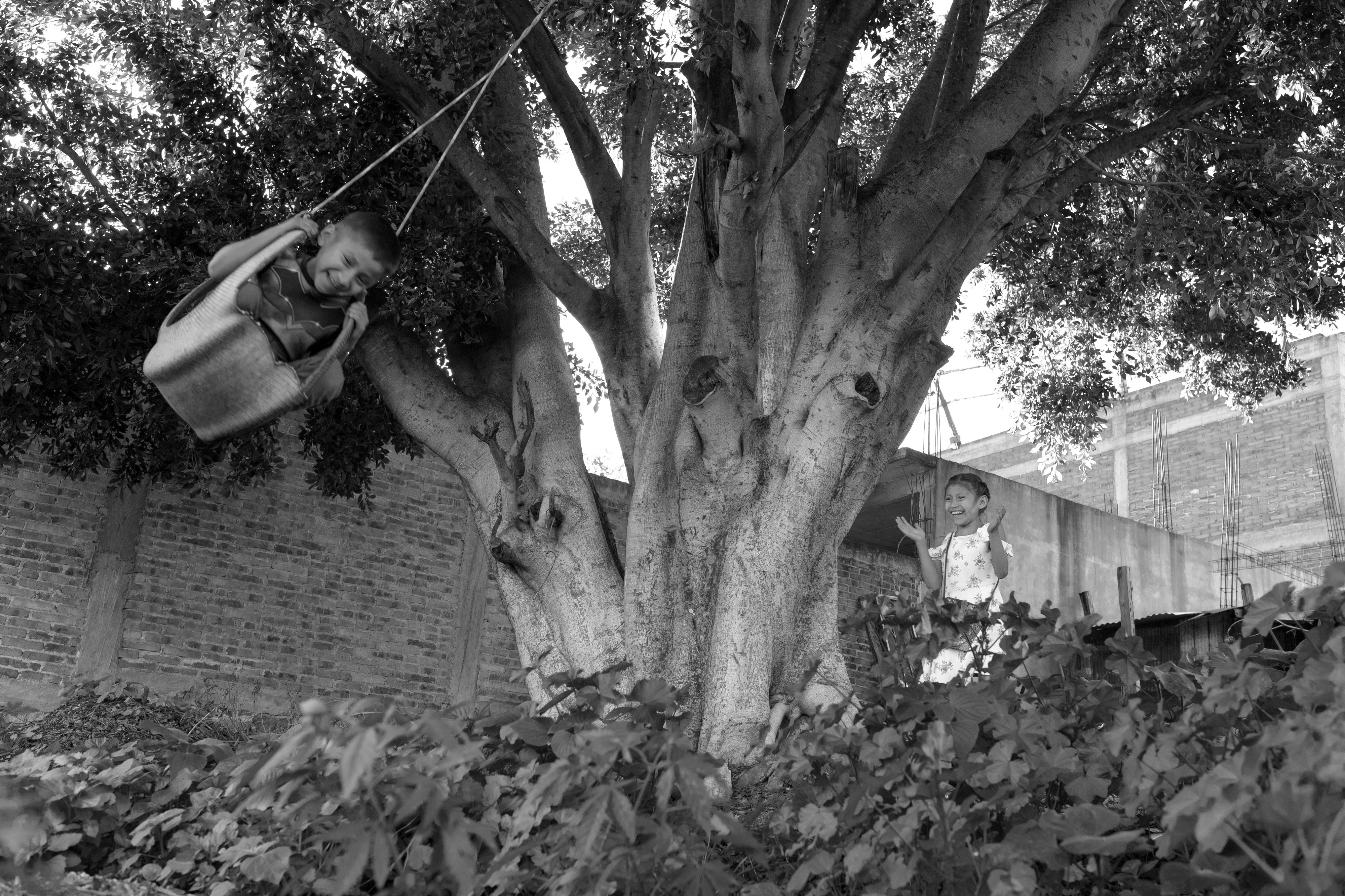 17970_A LA SOMBRA DEL ARBOL_JUL 2021.jpg