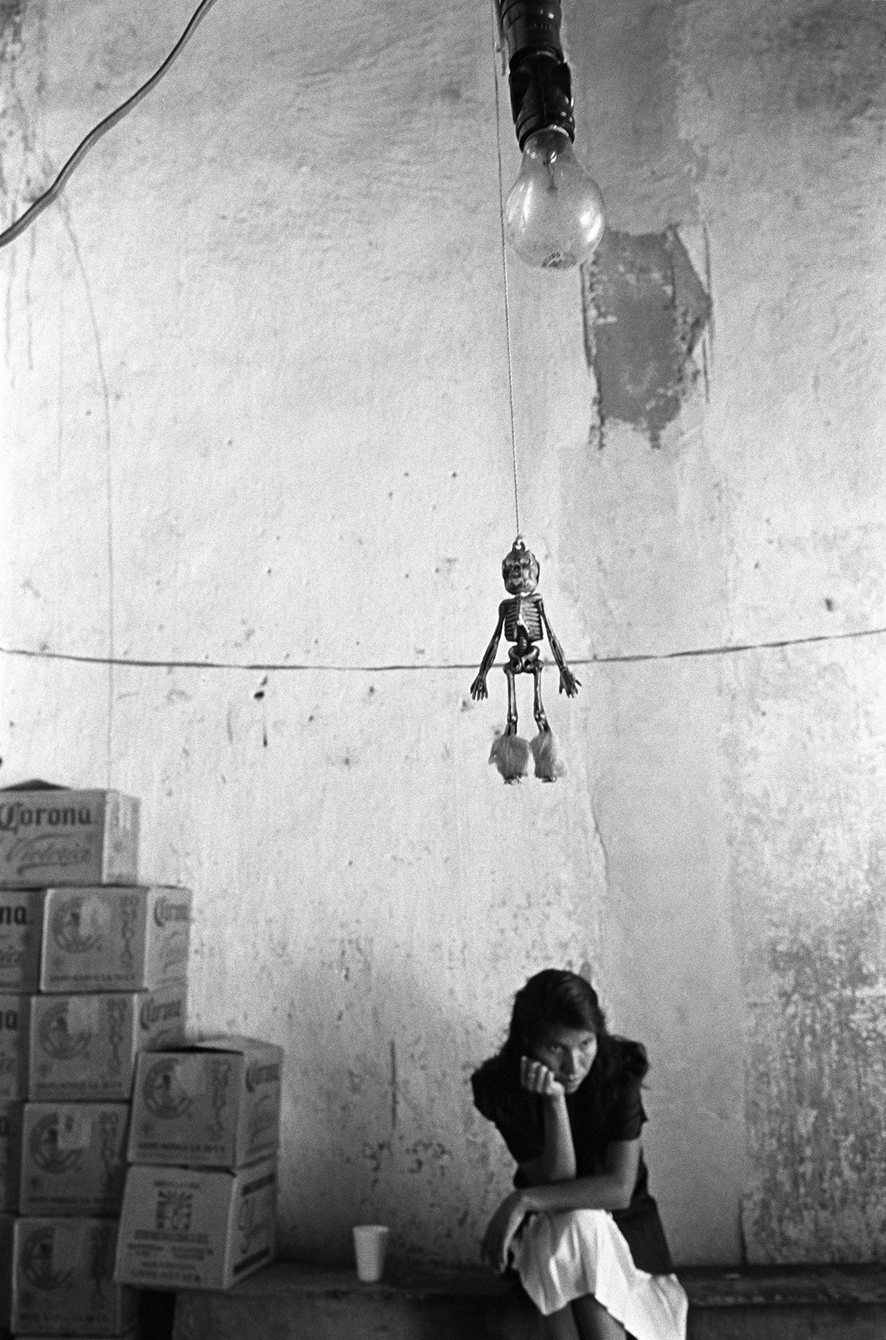 The skull / La Calaca