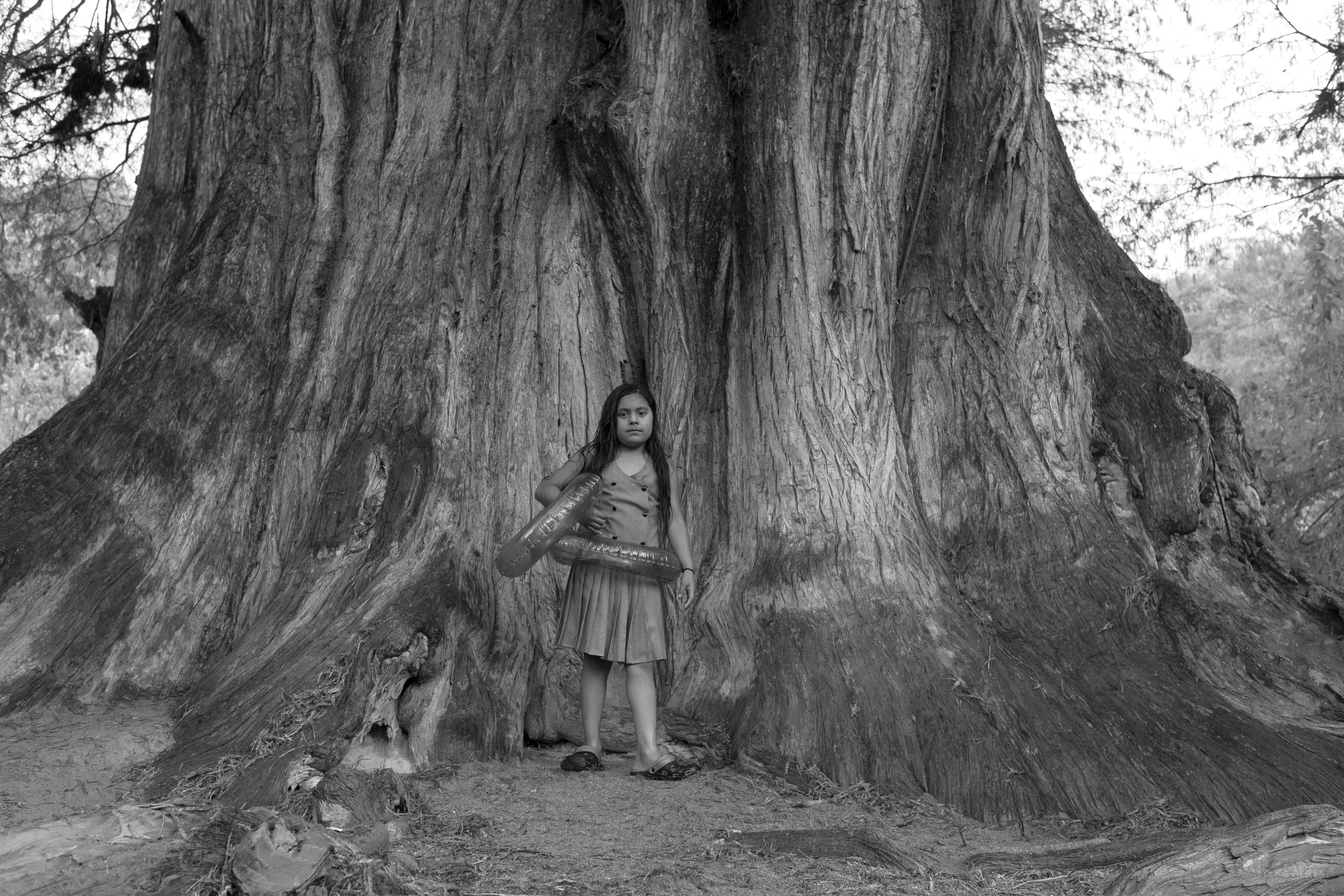 8905_A LA SOMBRA ARBOL_NOV2020.jpg