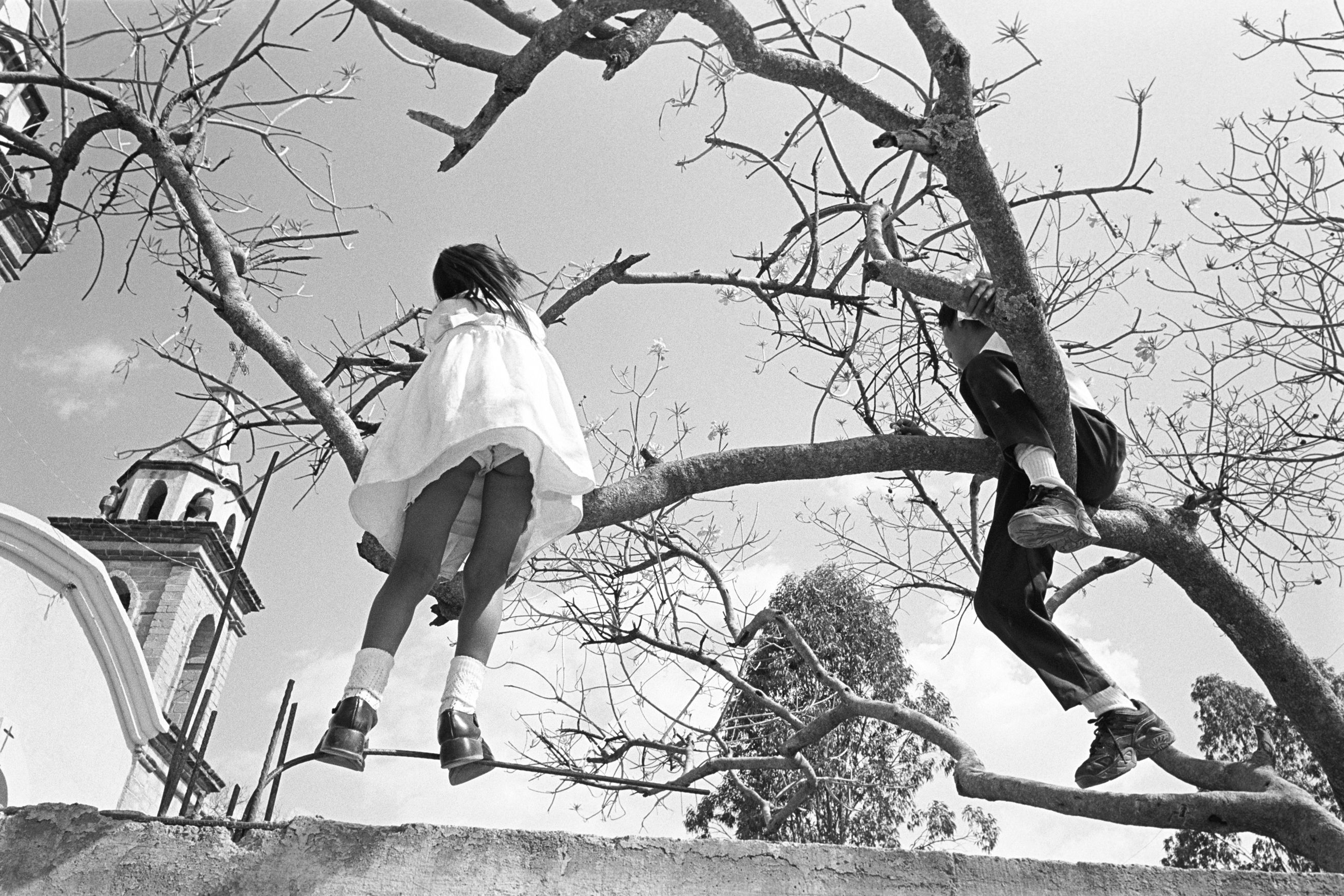 Children climbing a tree /  Niños en el árbol