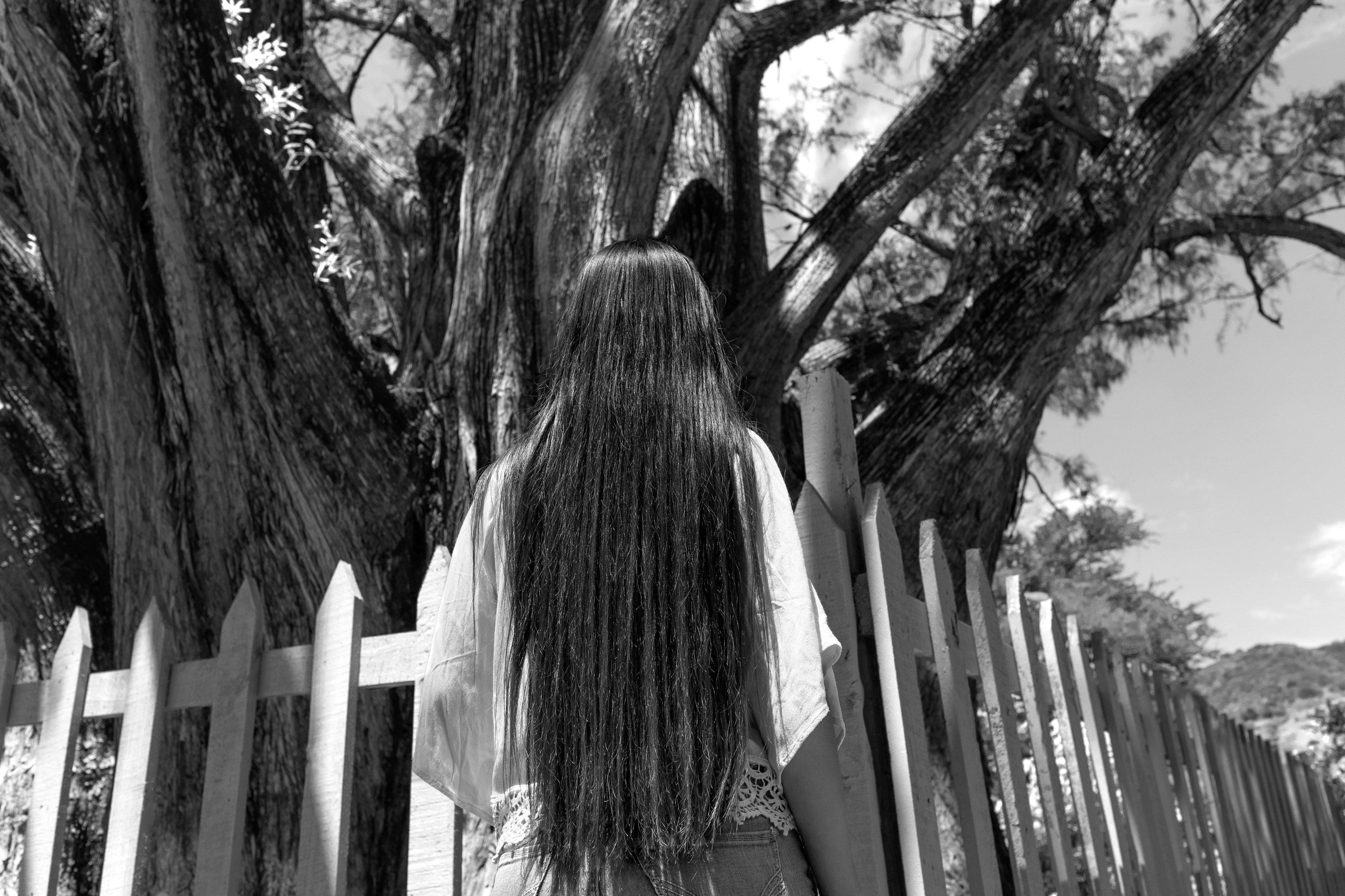 068_A LA SOMBRA ARBOL_AGO2020.jpg