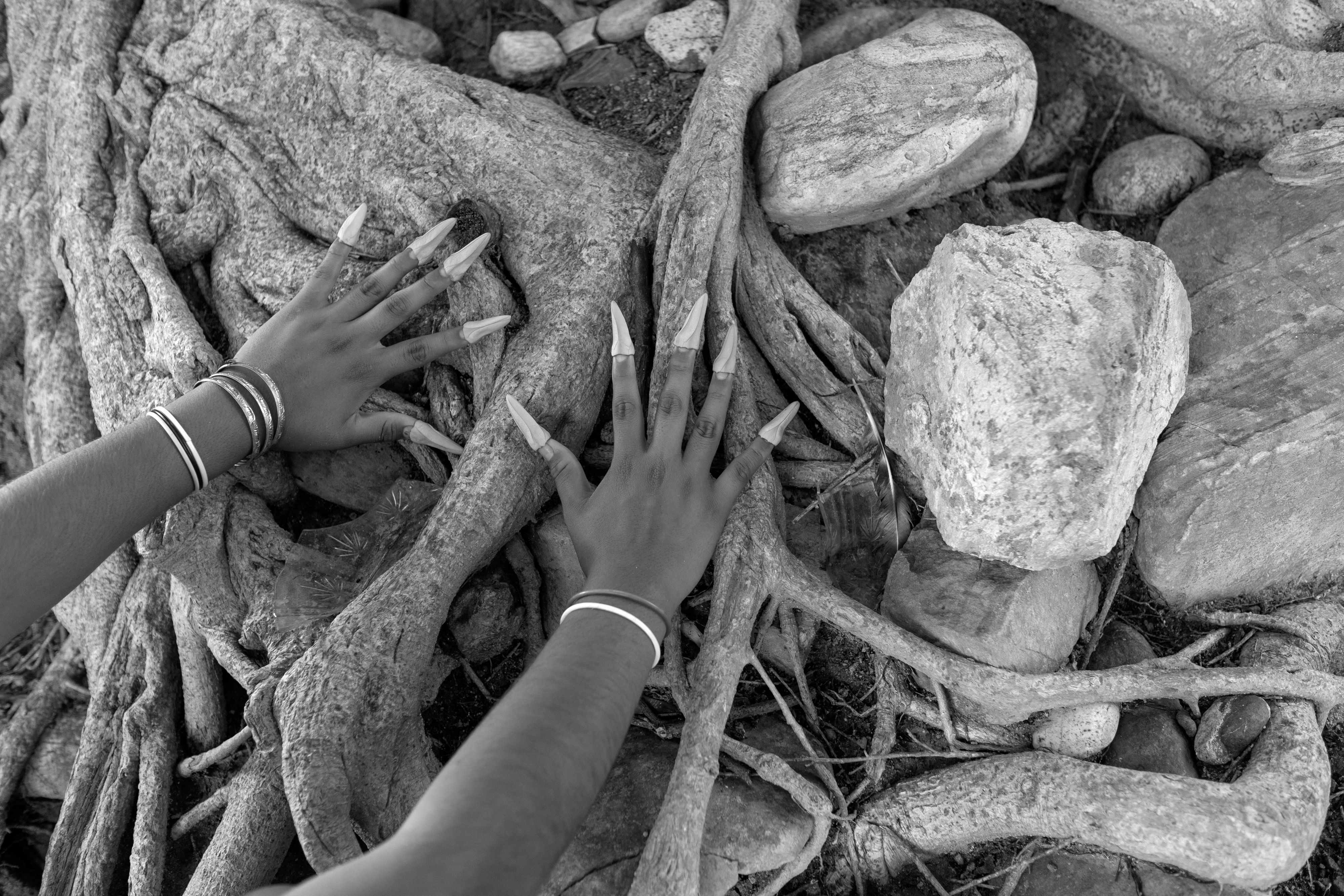 20434_A LA SOMBRA DEL ARBOL__JUL 2021.jpg