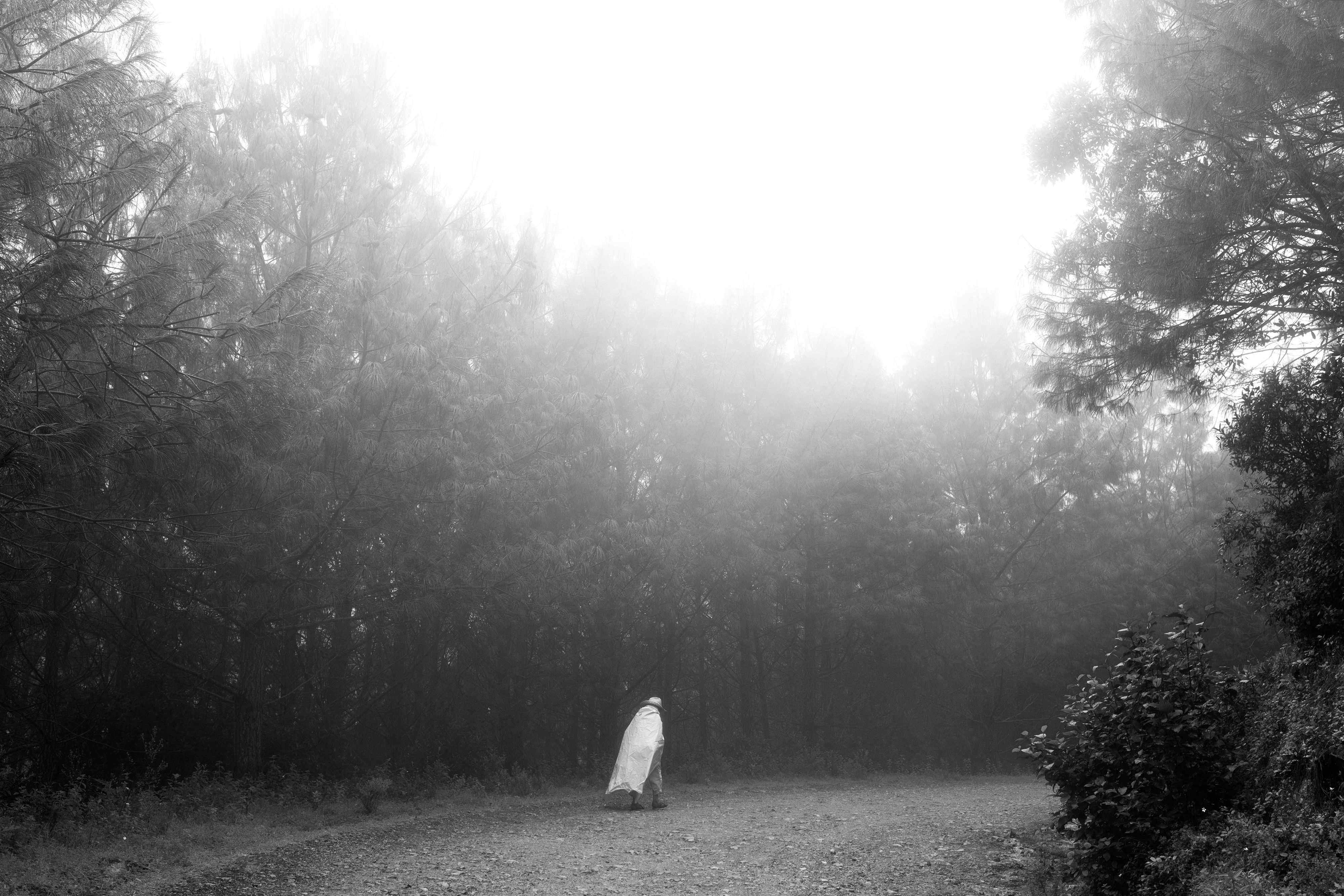 4797_A LA SOMBRA ARBOL_AGO2020.jpg