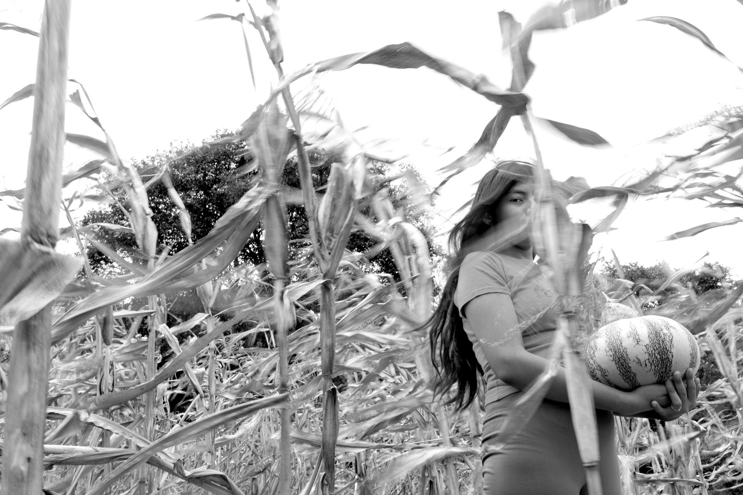 019-8360_A LA SOMBRA ARBOL_NOV2020.jpg