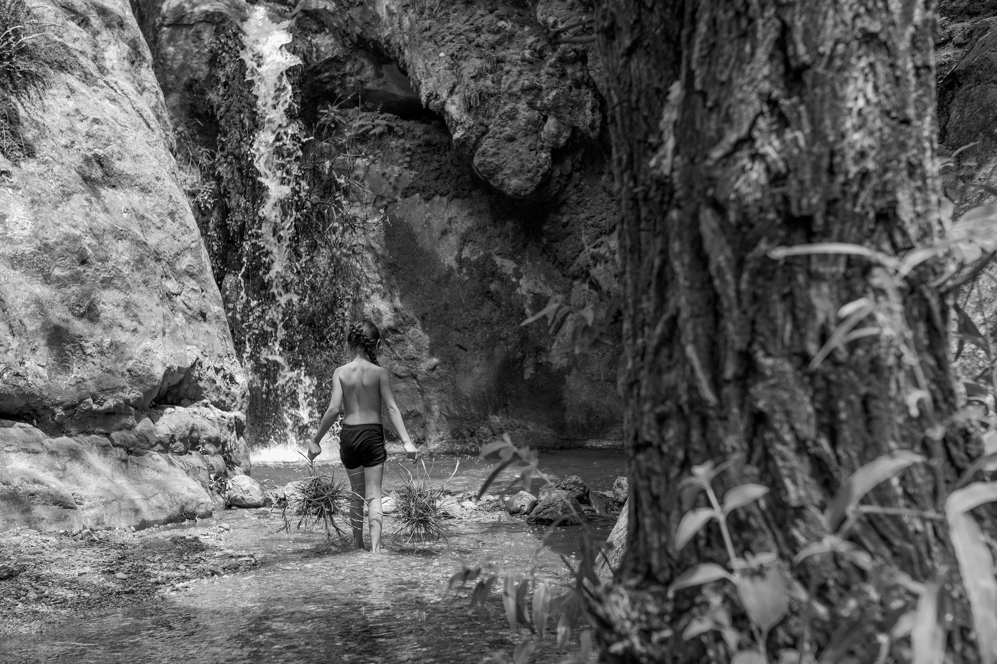 1305_A LA SOMBRA ARBOL_AGO2020.jpg