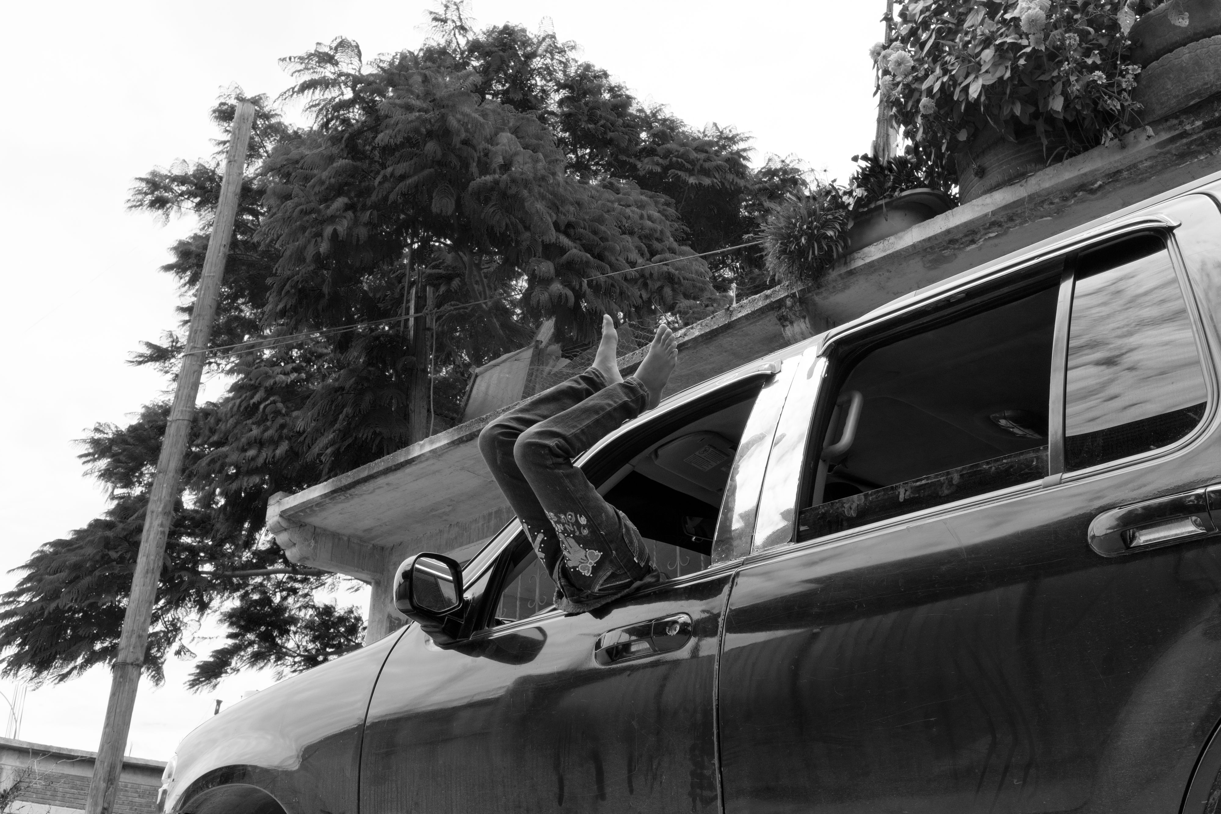 18219_A LA SOMBRA DEL ARBOL_JUL 2021.jpg