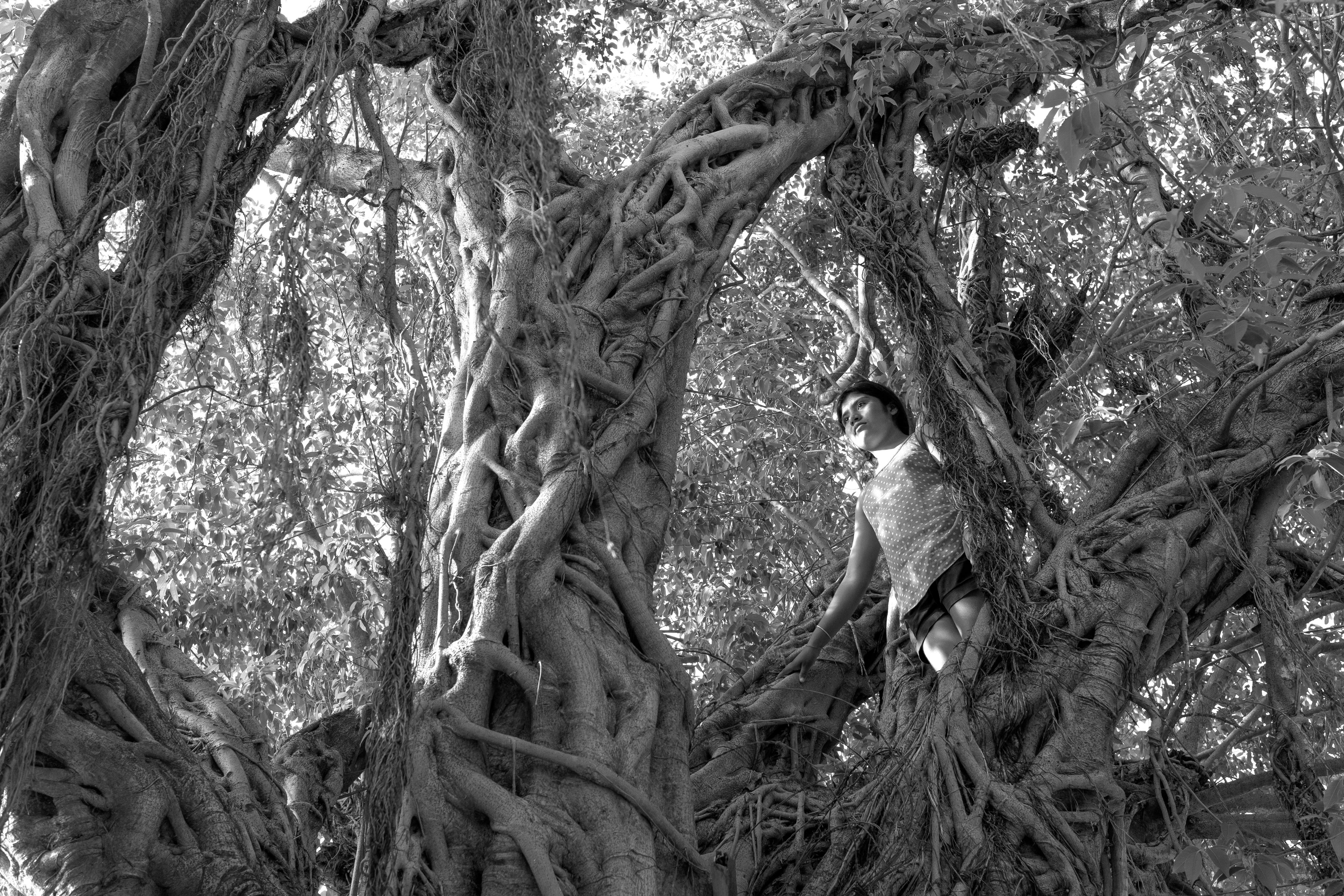 20450_A LA SOMBRA DEL ARBOL_JUL 2021.jpg