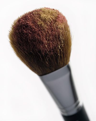 1powder_brush_rethemeyer.jpg