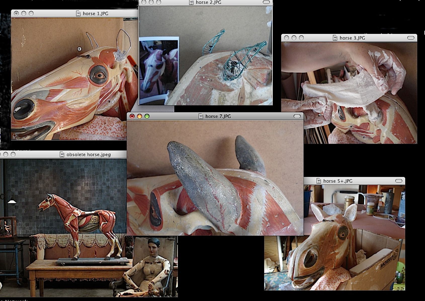 Restoration Antique Anatomical HorseObsoleteVenice, CA