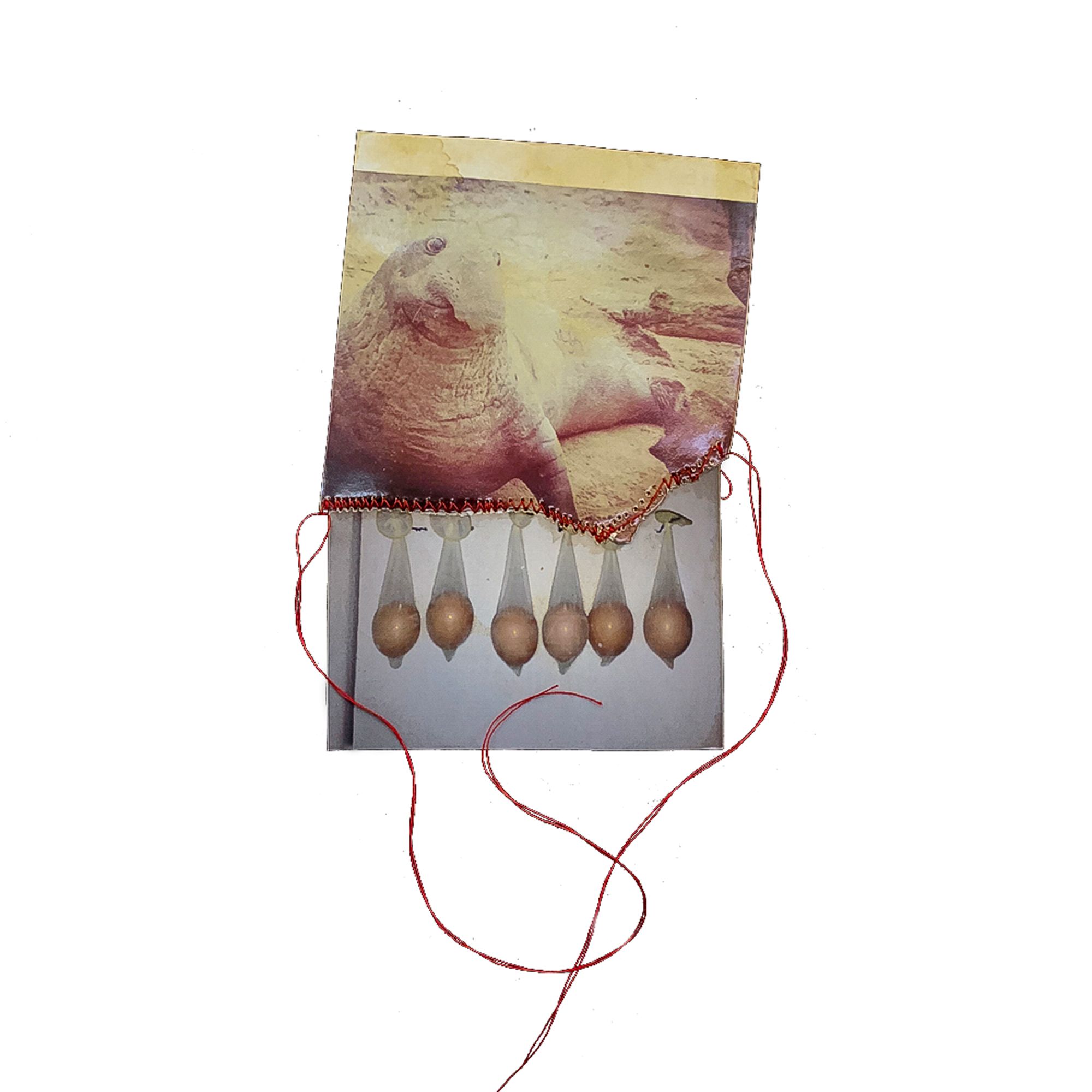 L_STEKETEE02 (1).jpg