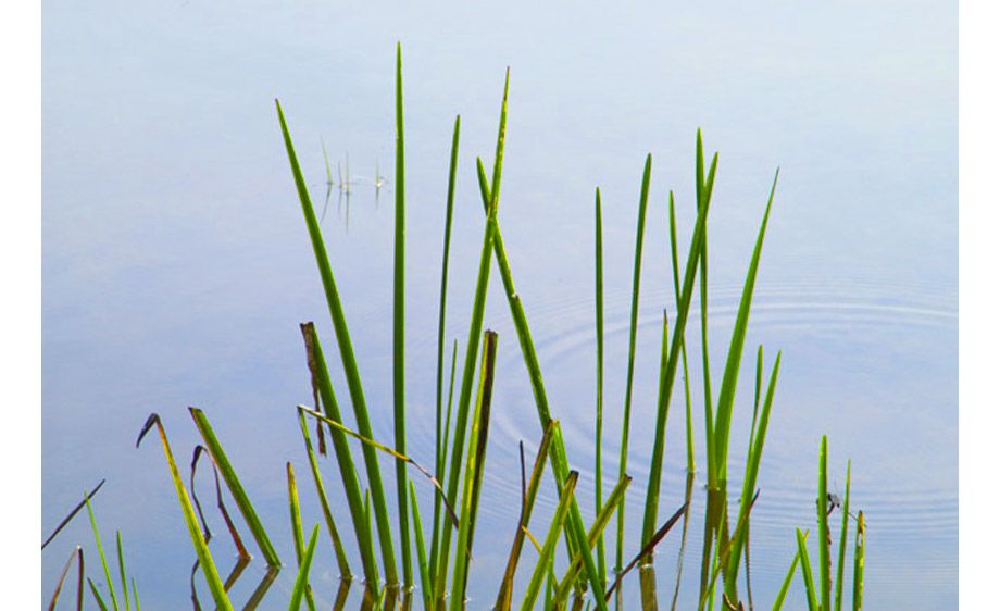 image_16.jpg