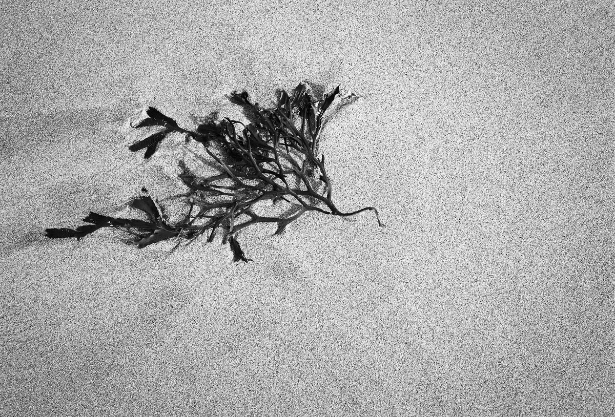 Porth Nanven, Cornwall