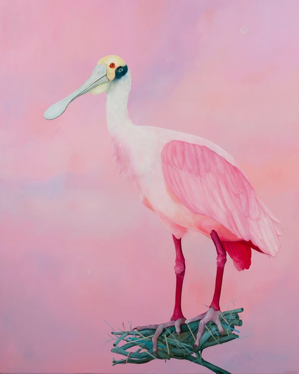 oil on canvas 45 x 36 in / 114.3 x 91.44 cm Spoonbill #2