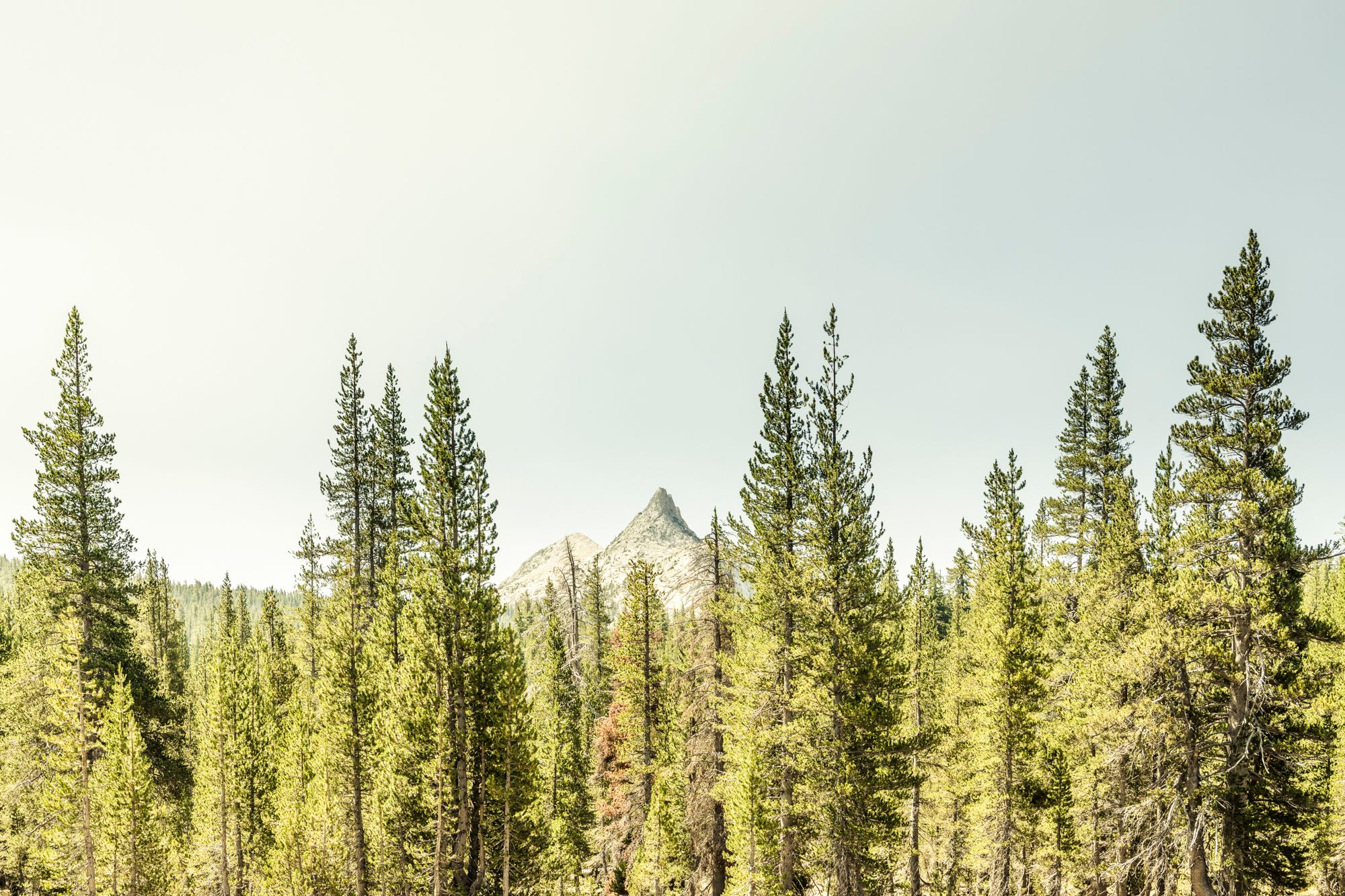 yosemite_lone_peak.jpg