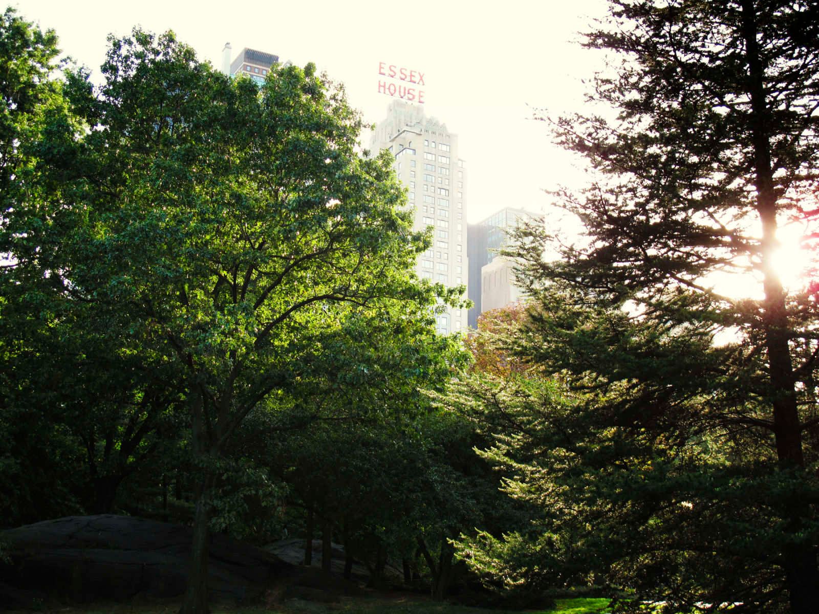 1central_pk_sunburst_final__copy