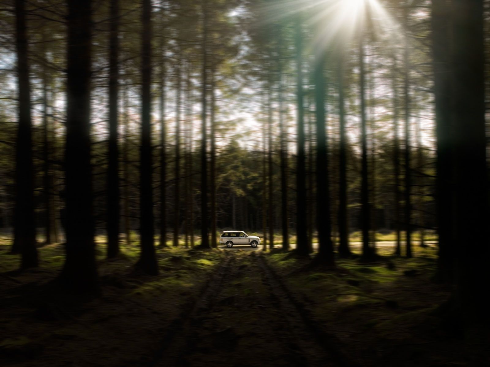 1range_rover_sun_trees_1_03_nologos
