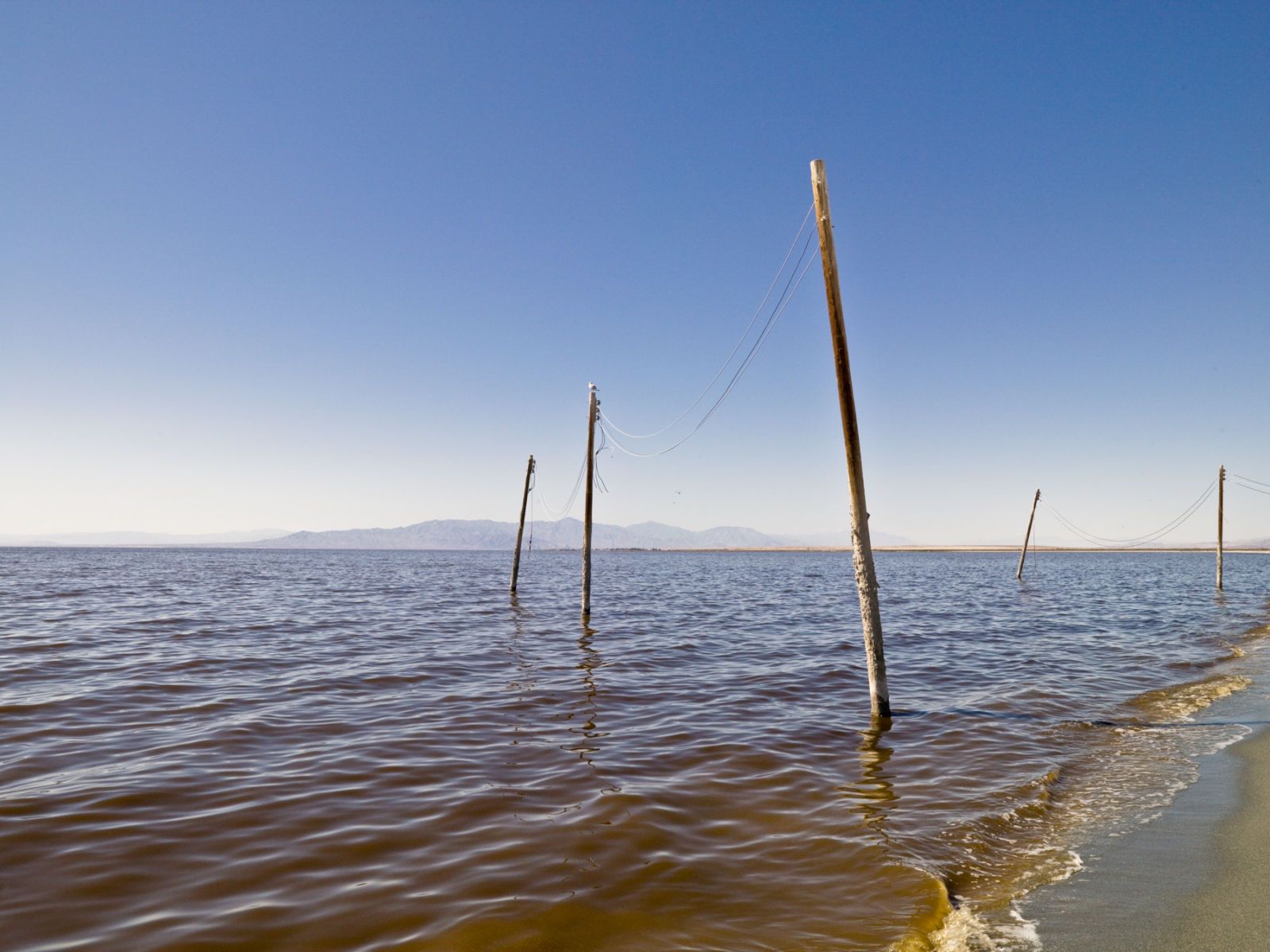 1salton_telegraphs_hero2